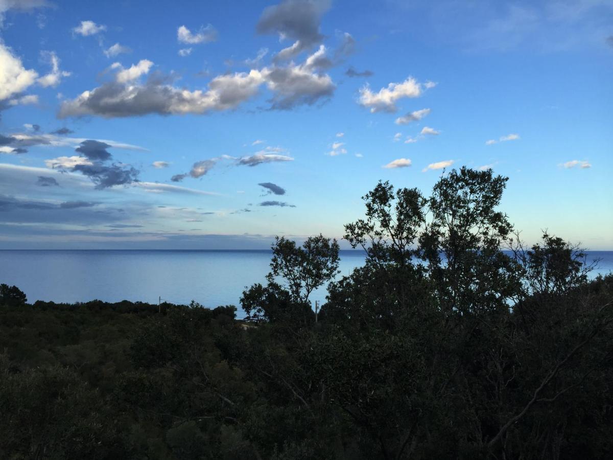 Villa L'Alpana En Bois Vue Mer A 180 Degres Sari-Solenzara Luaran gambar